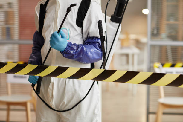 Professional Sewage Cleanup technician working in Eldorado, WI